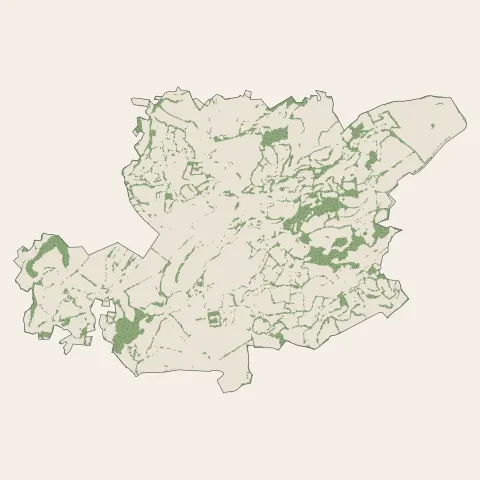 Naucelles : bois, forêts et landes