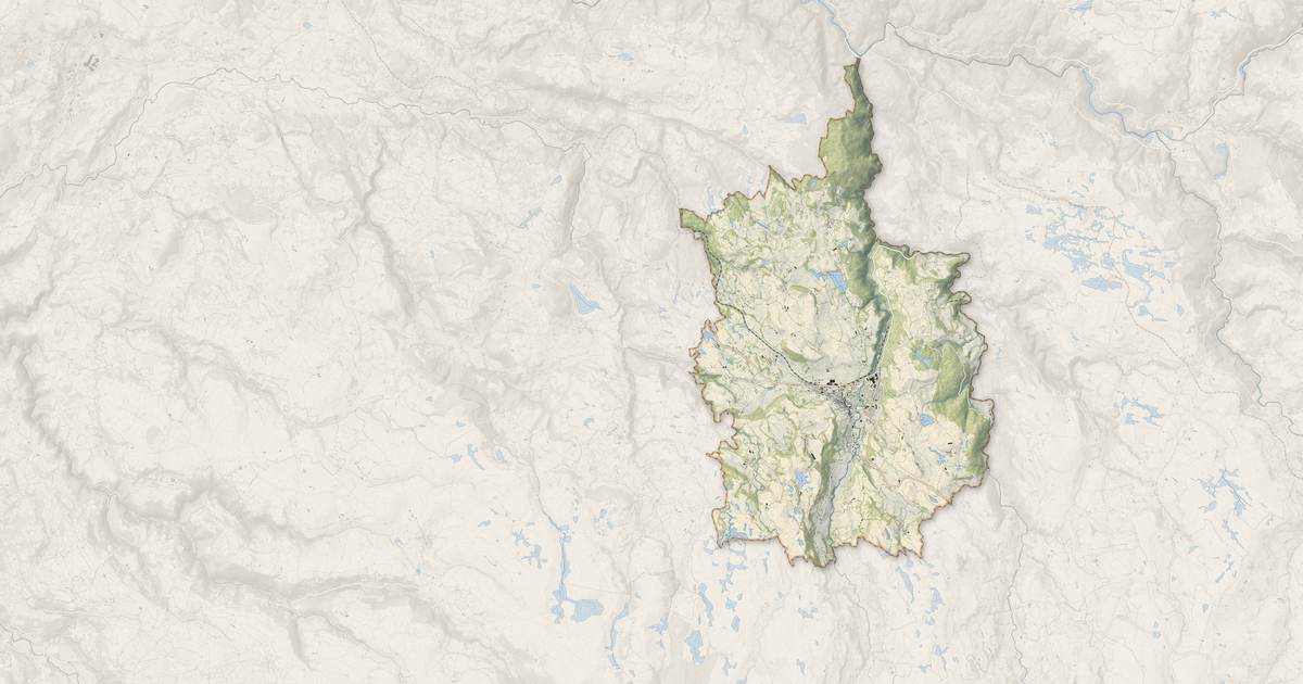 Portrait cartographique de Riom-ès-Montagnes : relief, eau, forêts, bâti et voies, calculés à partir des données de l'IGN