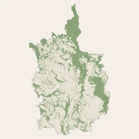 Riom-ès-Montagnes : bois, forêts et landes
