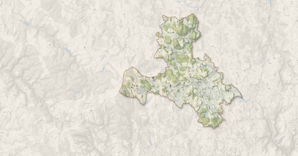 Portrait cartographique de Roumégoux : relief, eau, forêts, bâti et voies, calculés à partir des données de l'IGN
