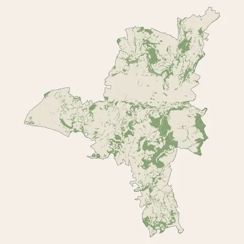 Saint-Flour : bois, forêts et landes