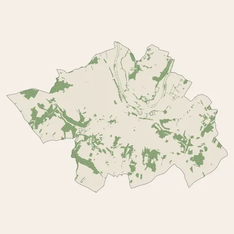 Châteauneuf-sur-Charente : bois, forêts et landes