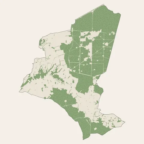 Mornac : bois, forêts et landes