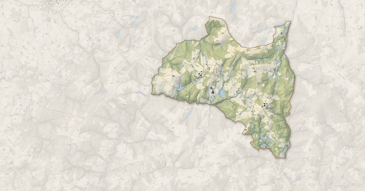 Portrait cartographique de Oriolles : relief, eau, forêts, bâti et voies, calculés à partir des données de l'IGN