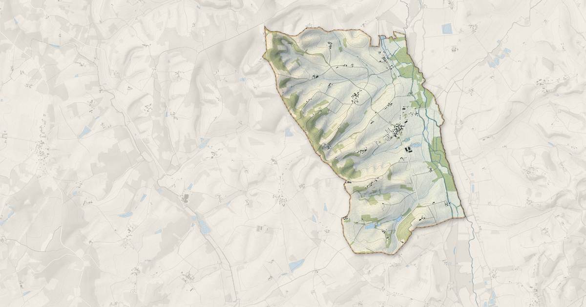 Portrait cartographique de Palluaud : relief, eau, forêts, bâti et voies, calculés à partir des données de l'IGN