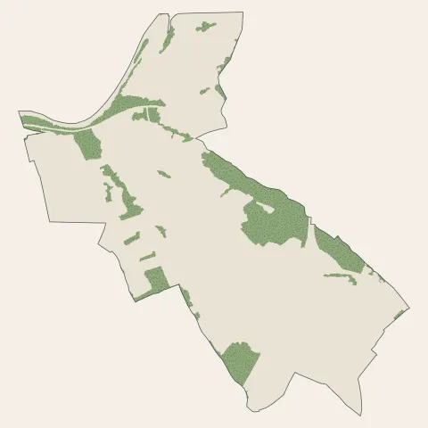Saint-Michel : bois, forêts et landes