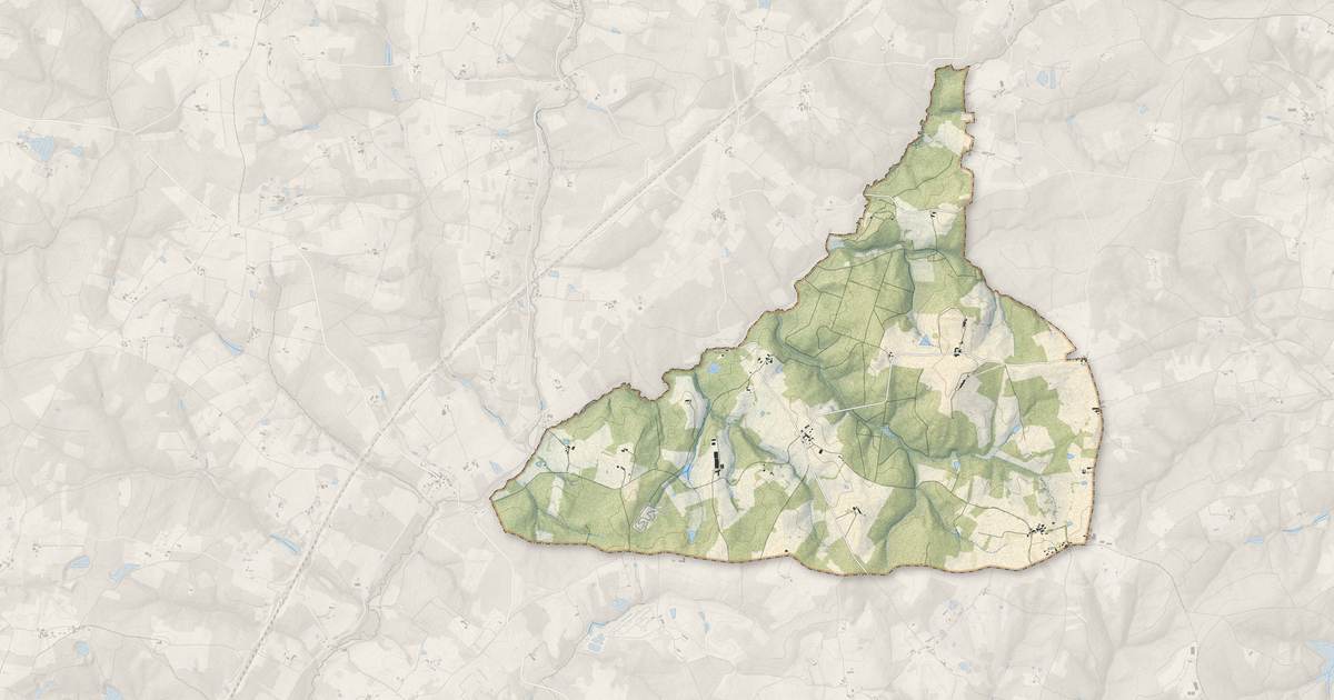 Portrait cartographique de Sauvignac : relief, eau, forêts, bâti et voies, calculés à partir des données de l'IGN