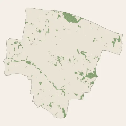Segonzac : bois, forêts et landes