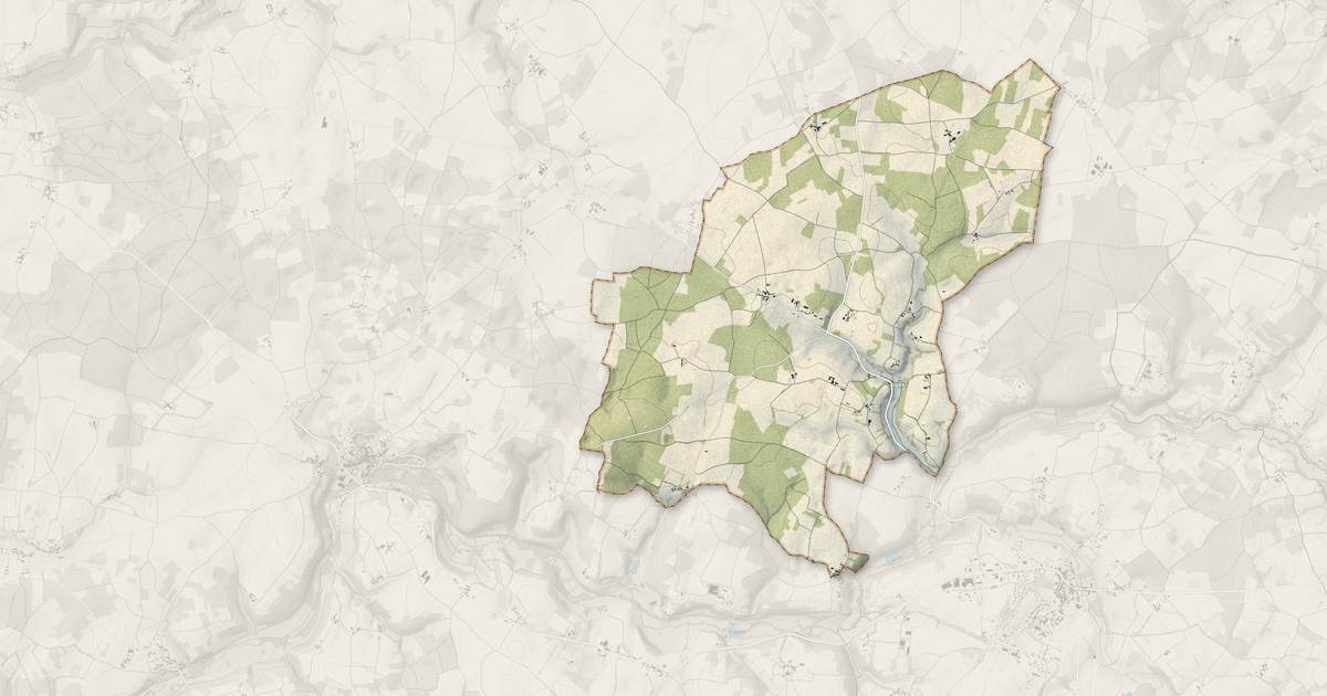Portrait cartographique de Vieux-Ruffec : relief, eau, forêts, bâti et voies, calculés à partir des données de l'IGN