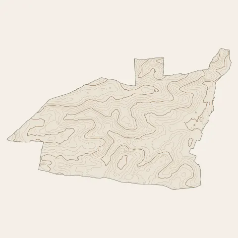 Aigrefeuille-d'Aunis : courbes de niveau