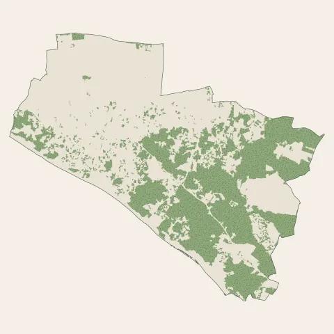 Le Bois-Plage-en-Ré : bois, forêts et landes