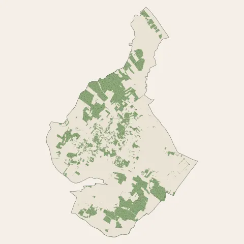 Breuillet : bois, forêts et landes
