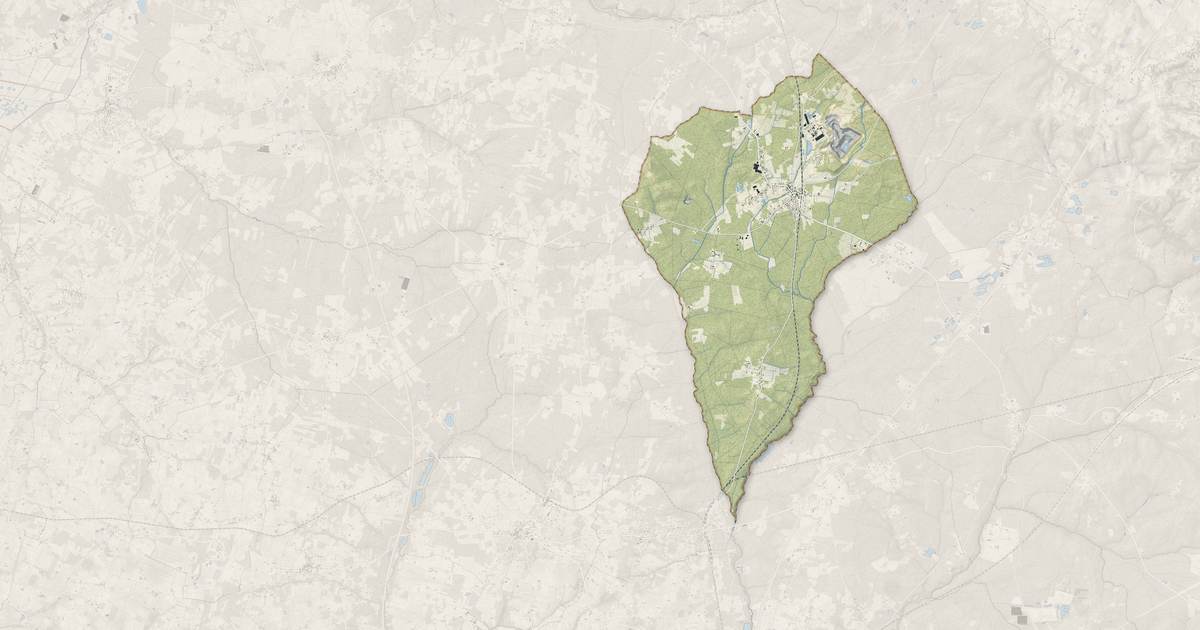 Portrait cartographique de Bussac-Forêt : relief, eau, forêts, bâti et voies, calculés à partir des données de l'IGN