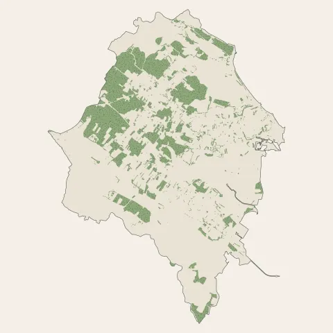 Le Château-d'Oléron : bois, forêts et landes