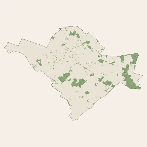 Cozes : bois, forêts et landes