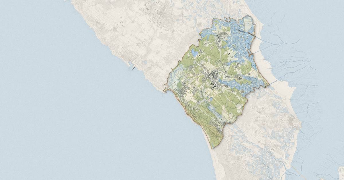 Portrait cartographique de Dolus-d'Oléron : relief, eau, forêts, bâti et voies, calculés à partir des données de l'IGN