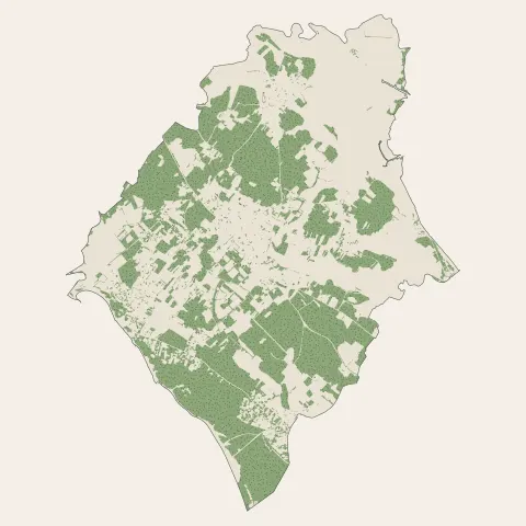 Dolus-d'Oléron : bois, forêts et landes