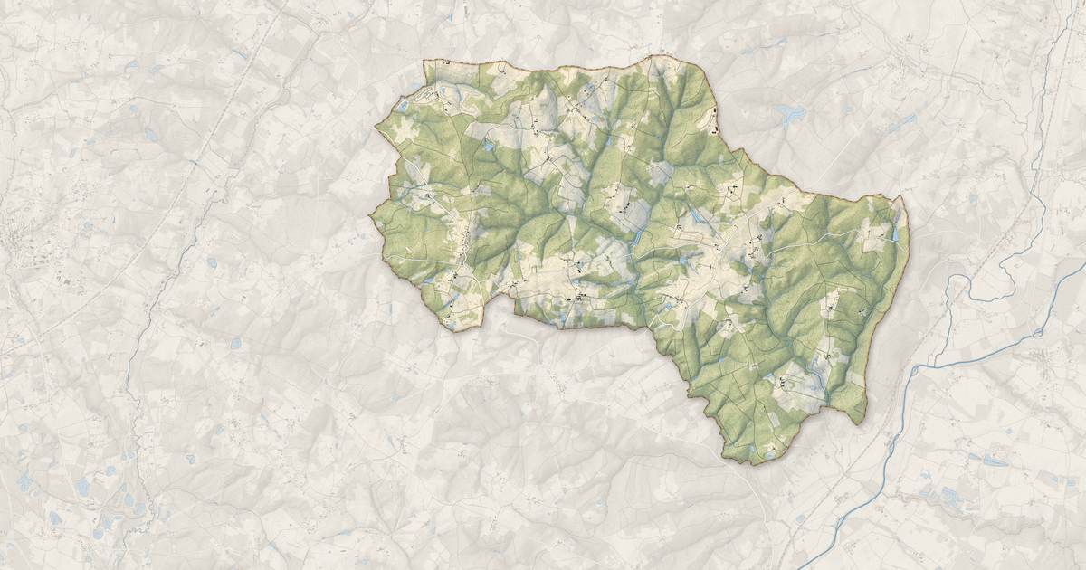 Portrait cartographique de La Genétouze : relief, eau, forêts, bâti et voies, calculés à partir des données de l'IGN