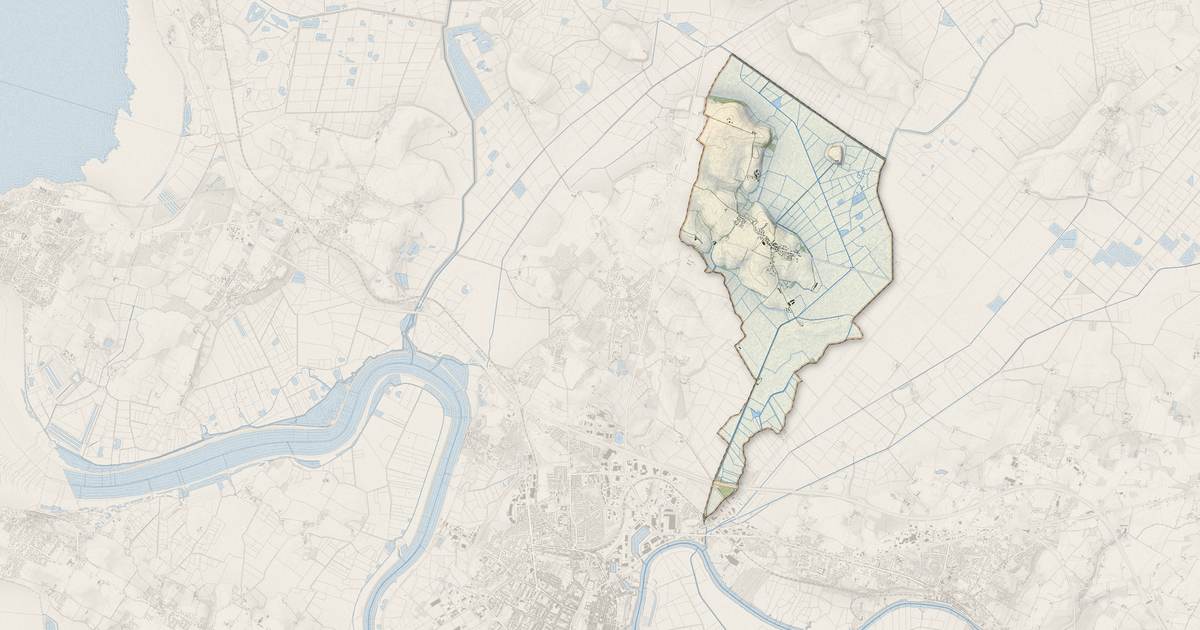 Portrait cartographique de Loire-les-Marais : relief, eau, forêts, bâti et voies, calculés à partir des données de l'IGN