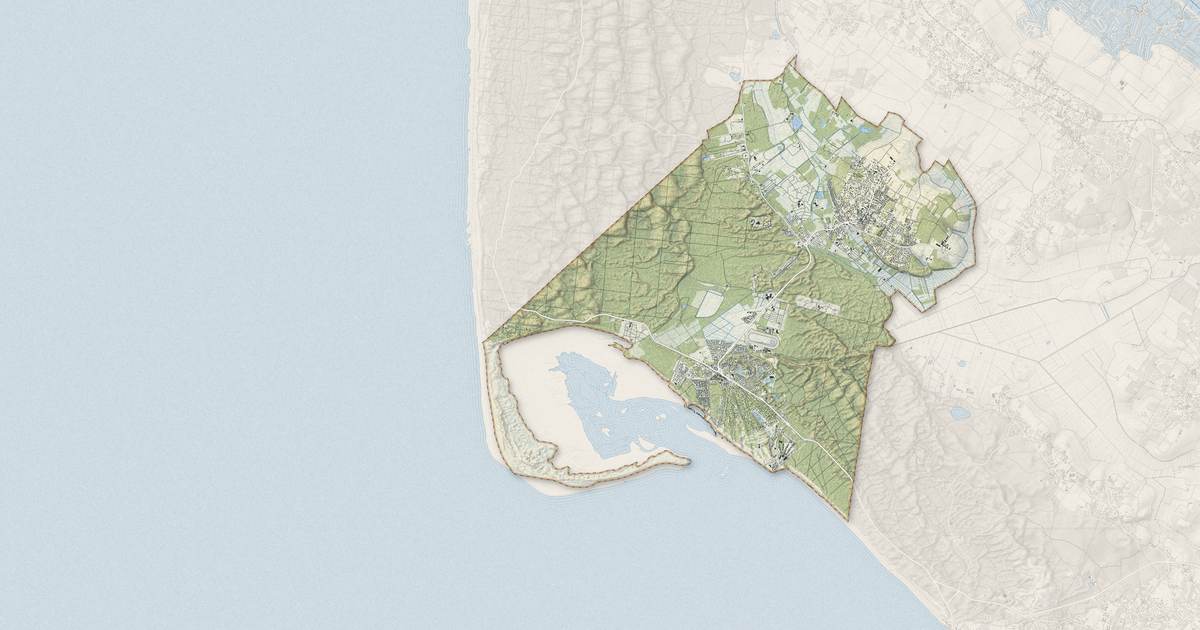 Portrait cartographique de Les Mathes : relief, eau, forêts, bâti et voies, calculés à partir des données de l'IGN