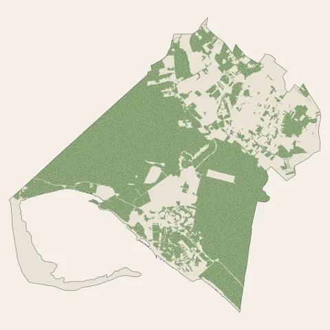 Les Mathes : bois, forêts et landes