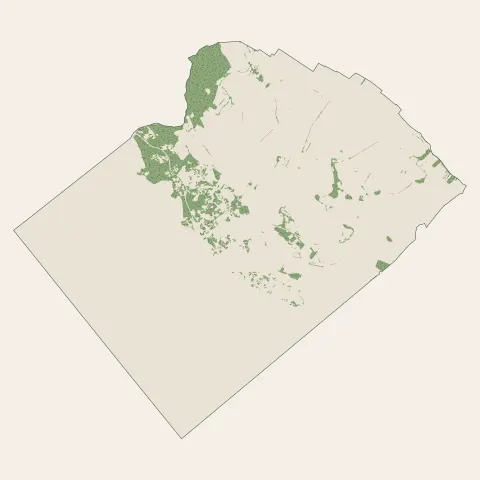 Meschers-sur-Gironde : bois, forêts et landes