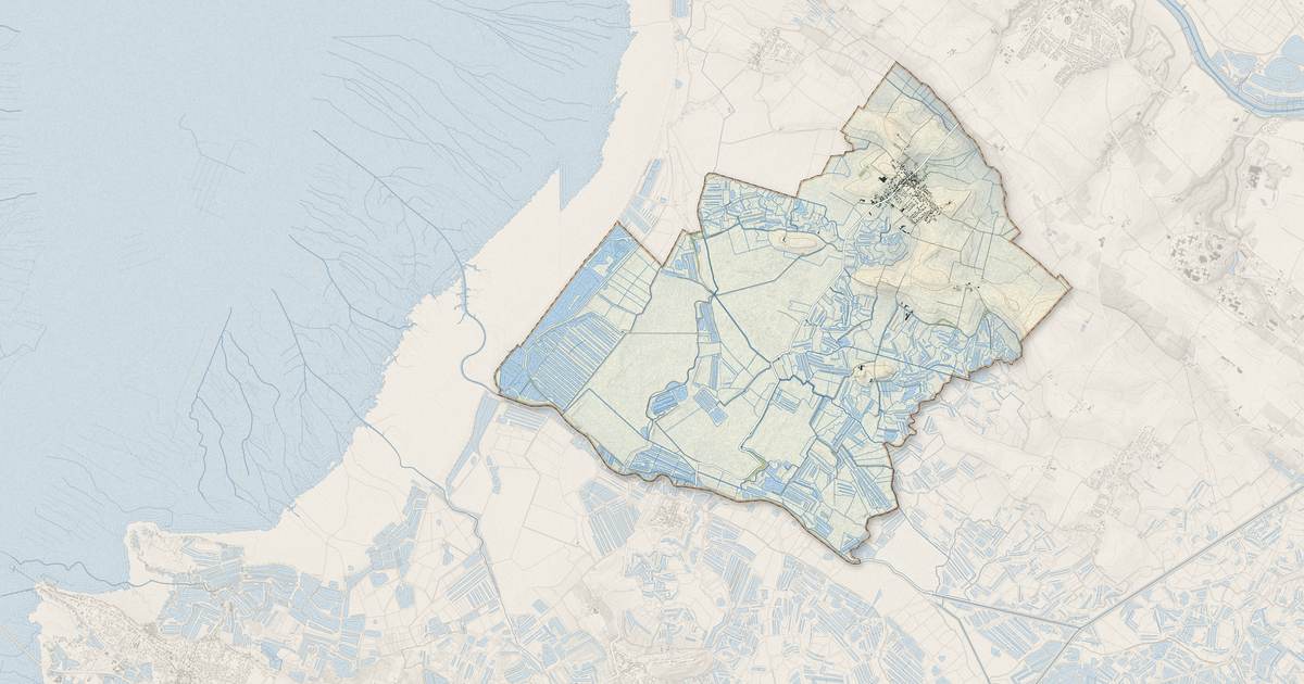 Portrait cartographique de Moëze : relief, eau, forêts, bâti et voies, calculés à partir des données de l'IGN