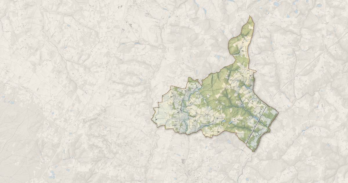 Portrait cartographique de Neuvicq : relief, eau, forêts, bâti et voies, calculés à partir des données de l'IGN
