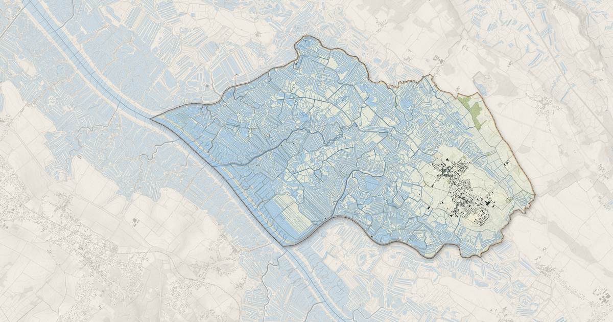 Portrait cartographique de Nieulle-sur-Seudre : relief, eau, forêts, bâti et voies, calculés à partir des données de l'IGN