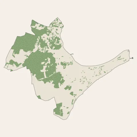 Rivedoux-Plage : bois, forêts et landes