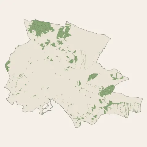 Royan : bois, forêts et landes