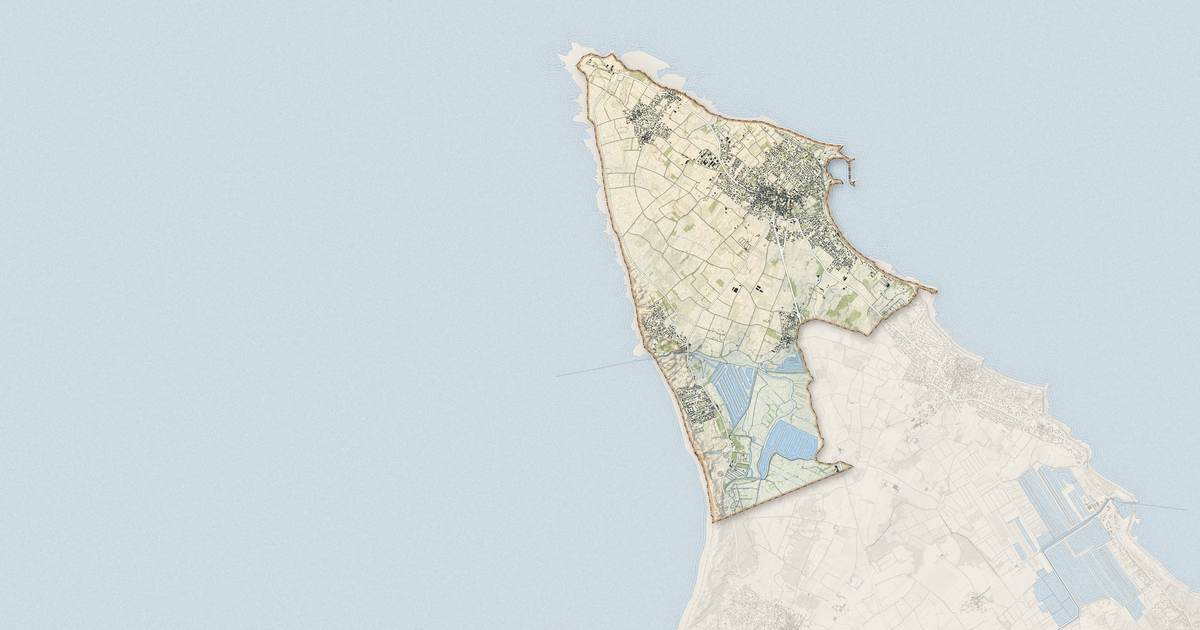 Portrait cartographique de Saint-Denis-d'Oléron : relief, eau, forêts, bâti et voies, calculés à partir des données de l'IGN