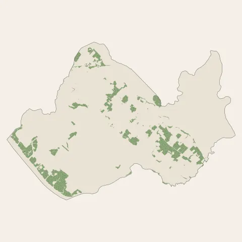 Saint-Just-Luzac : bois, forêts et landes