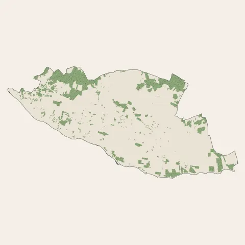 Sainte-Marie-de-Ré : bois, forêts et landes