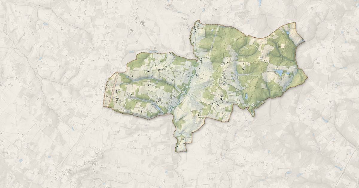 Portrait cartographique de Saint-Palais-de-Négrignac : relief, eau, forêts, bâti et voies, calculés à partir des données de l'IGN