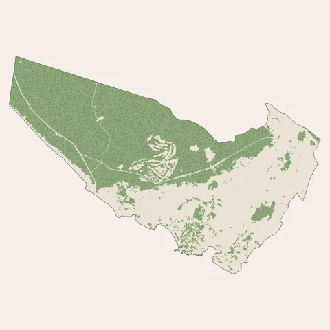 Saint-Palais-sur-Mer : bois, forêts et landes
