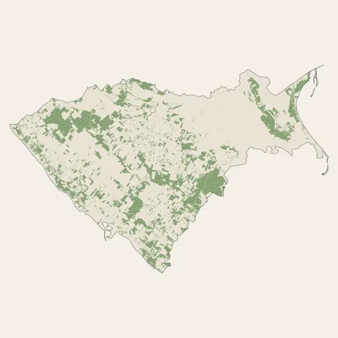 Saint-Pierre-d'Oléron : bois, forêts et landes