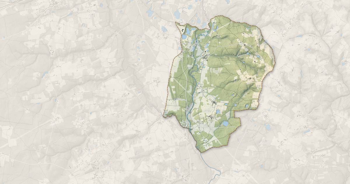 Portrait cartographique de Saint-Pierre-du-Palais : relief, eau, forêts, bâti et voies, calculés à partir des données de l'IGN
