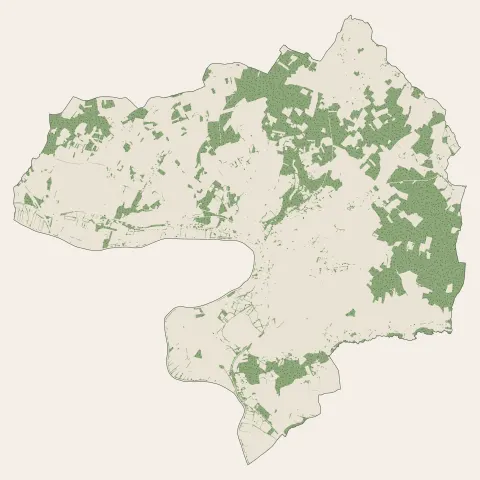 Saint-Savinien : bois, forêts et landes