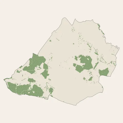 Saint-Sulpice-de-Royan : bois, forêts et landes