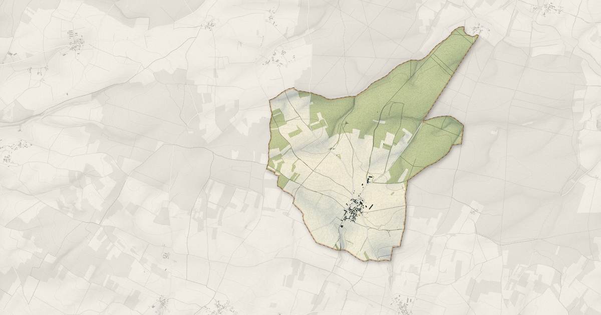 Portrait cartographique de Saleignes : relief, eau, forêts, bâti et voies, calculés à partir des données de l'IGN