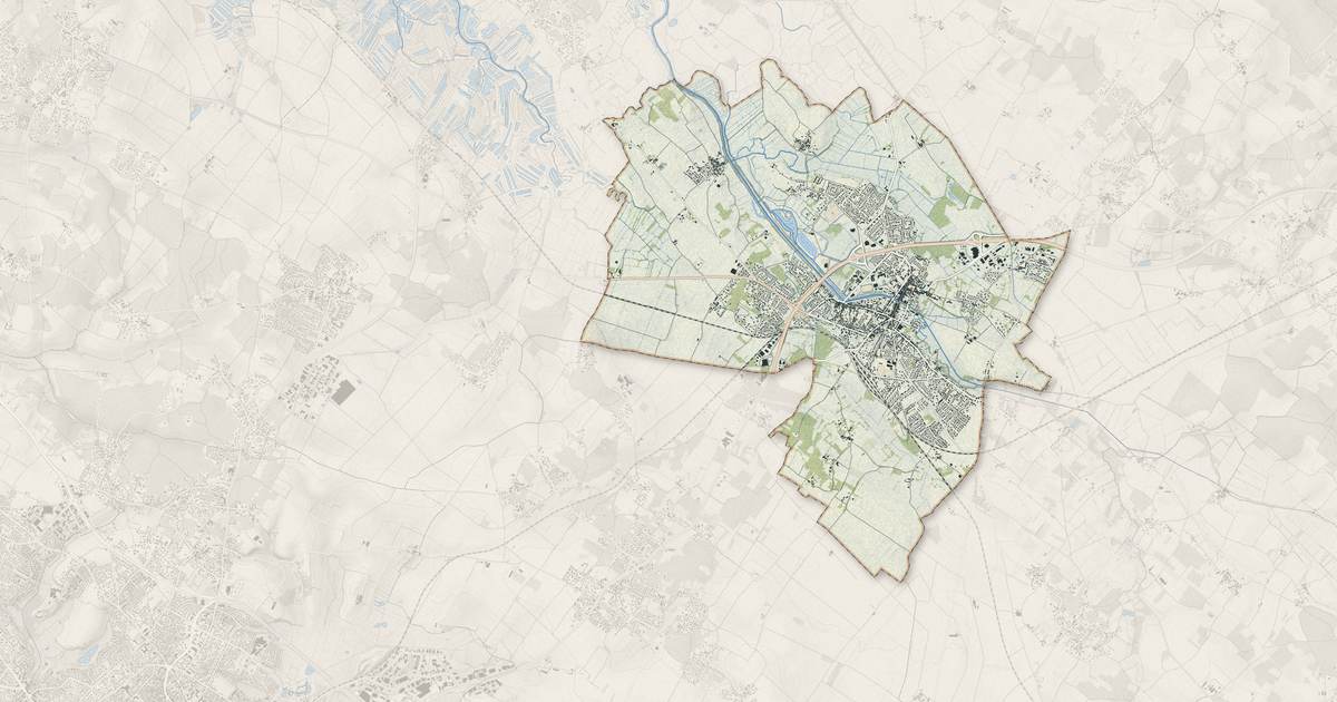 Portrait cartographique de Saujon : relief, eau, forêts, bâti et voies, calculés à partir des données de l'IGN