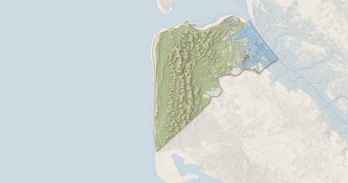 Portrait cartographique de La Tremblade : relief, eau, forêts, bâti et voies, calculés à partir des données de l'IGN