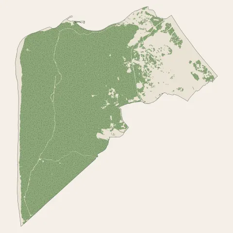 La Tremblade : bois, forêts et landes