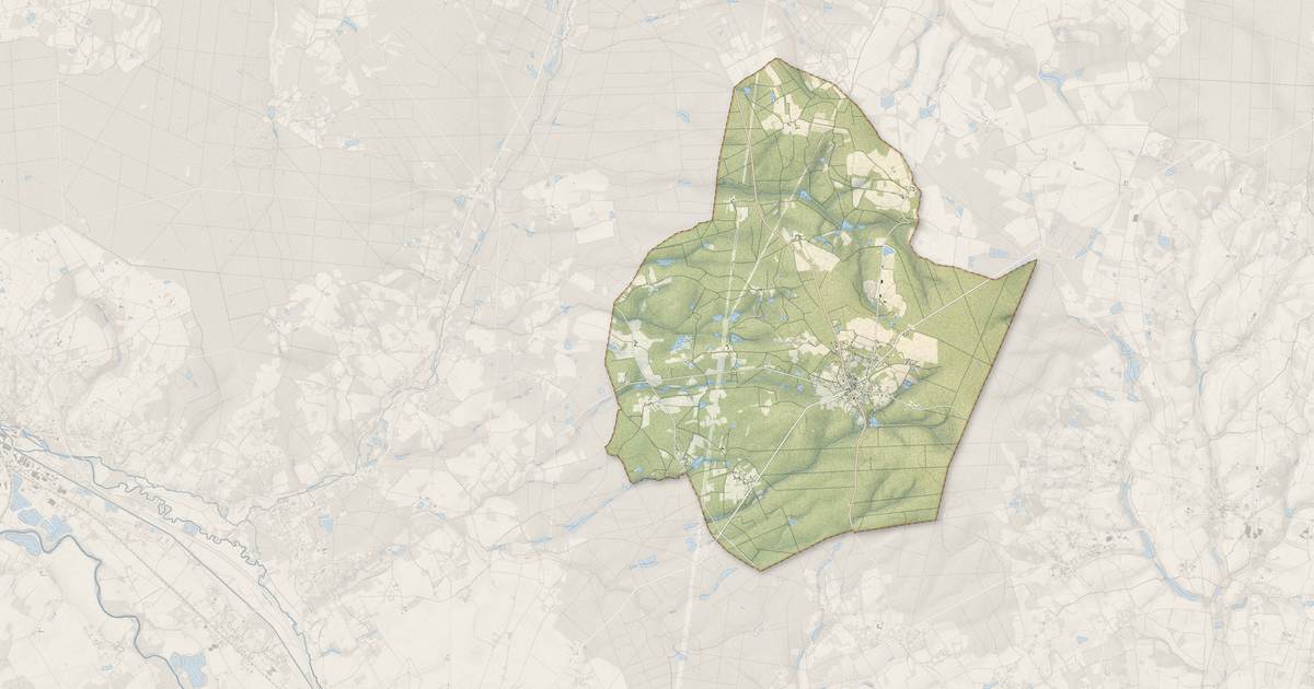 Portrait cartographique de Allogny : relief, eau, forêts, bâti et voies, calculés à partir des données de l'IGN