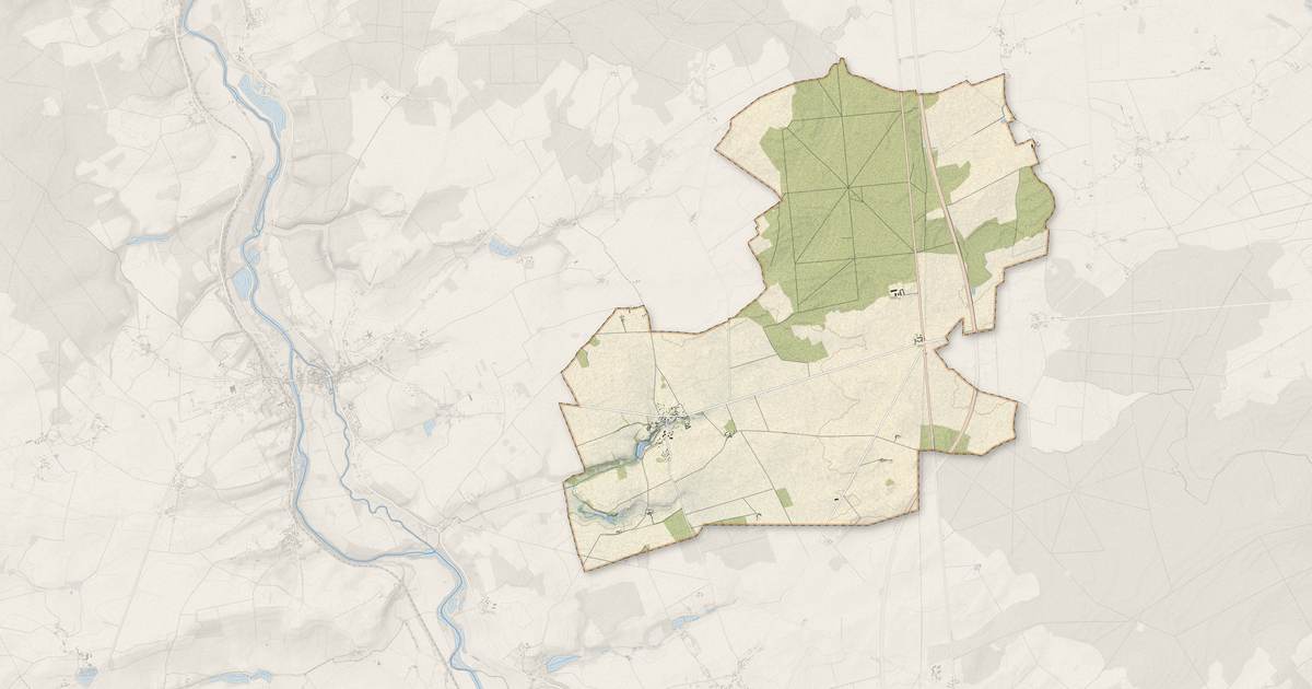 Portrait cartographique de Chavannes : relief, eau, forêts, bâti et voies, calculés à partir des données de l'IGN