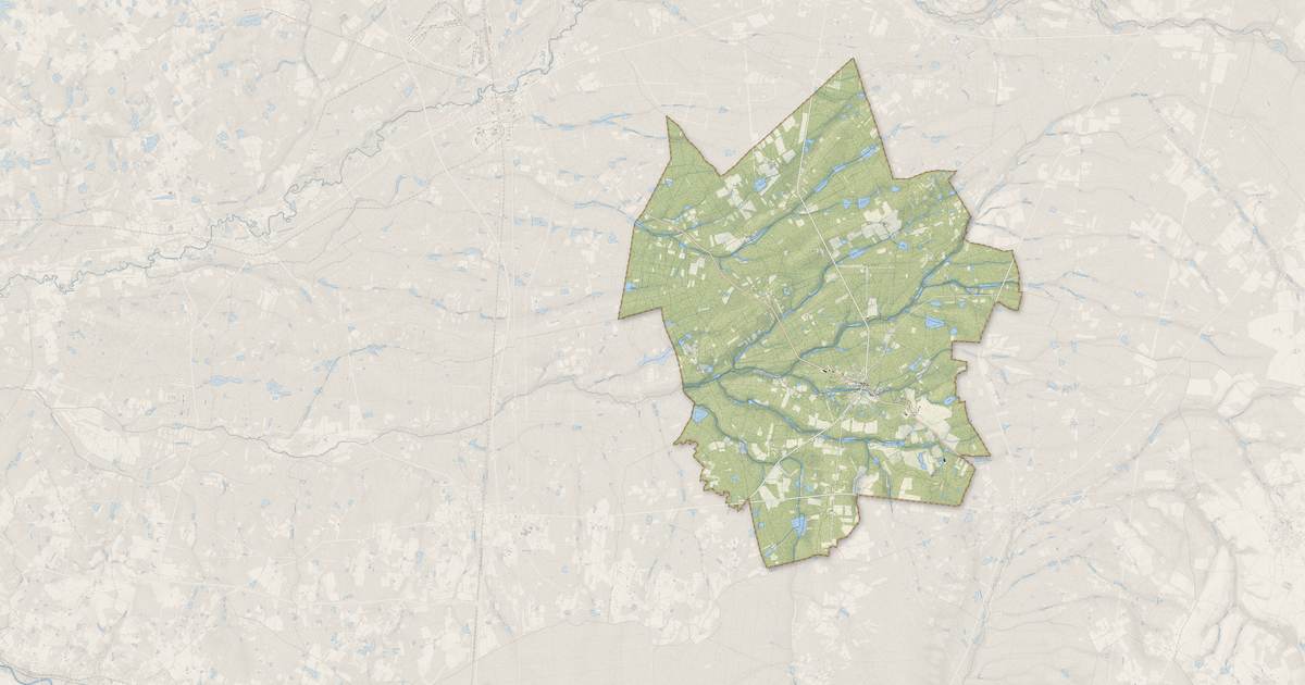 Portrait cartographique de Nançay : relief, eau, forêts, bâti et voies, calculés à partir des données de l'IGN
