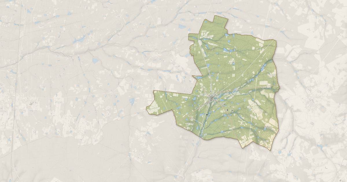 Portrait cartographique de Neuvy-sur-Barangeon : relief, eau, forêts, bâti et voies, calculés à partir des données de l'IGN