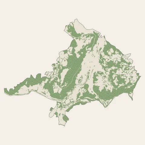 Bort-les-Orgues : bois, forêts et landes