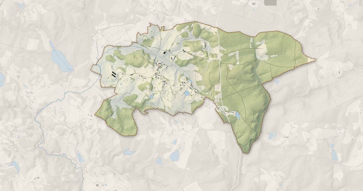 Portrait cartographique de Chapelle-Spinasse : relief, eau, forêts, bâti et voies, calculés à partir des données de l'IGN